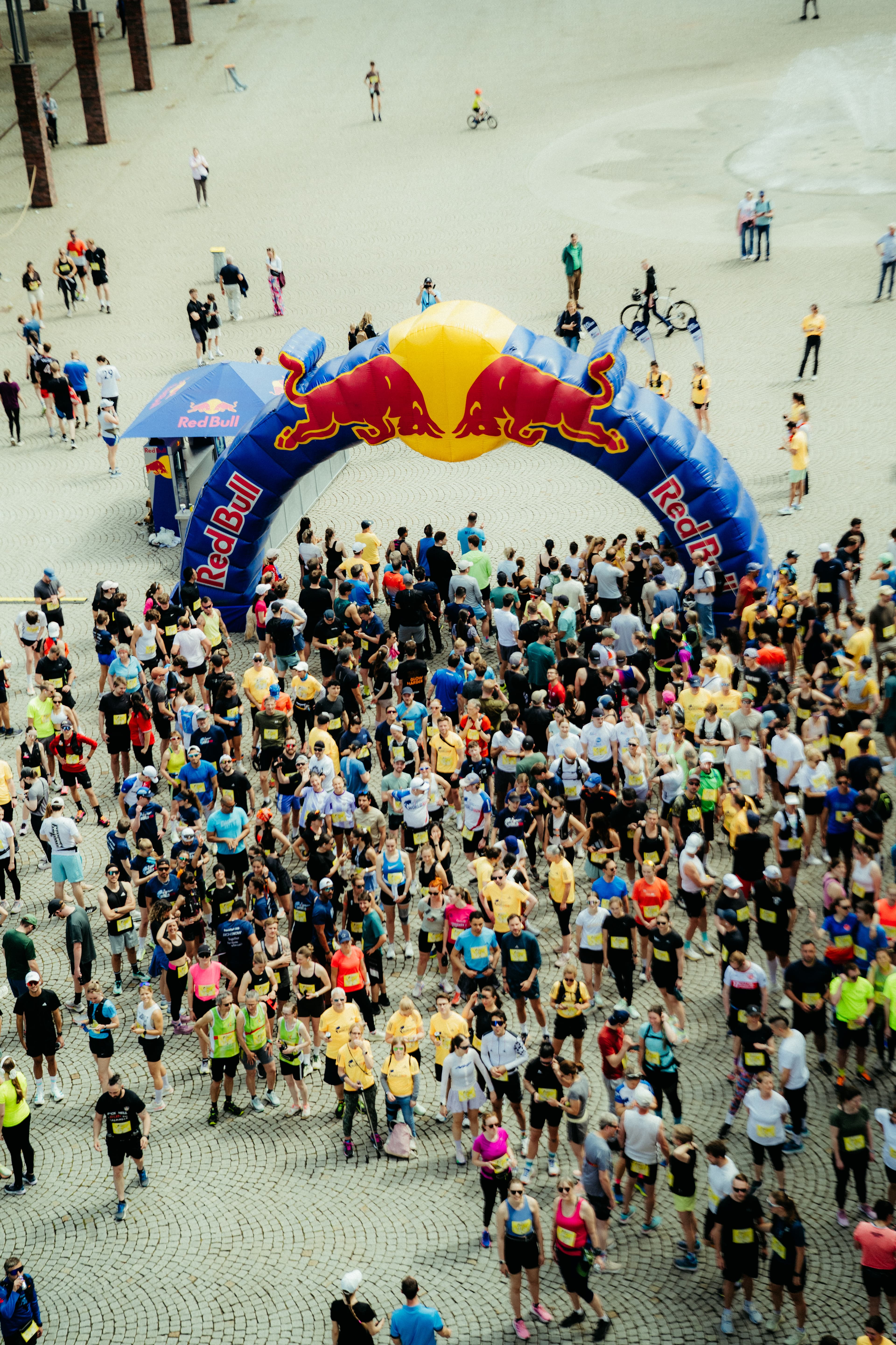 Red Bull: RED BULL WFLWR