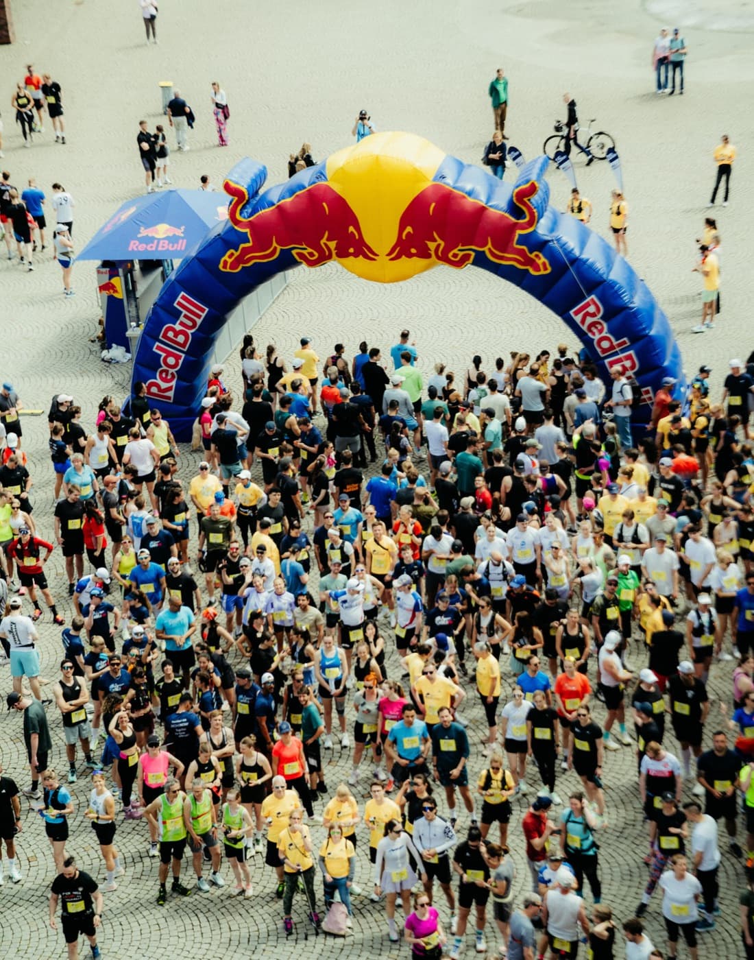 Wings For Life Run Frankfurt 2026
